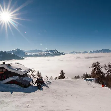 Chalet Cygnet Guest house Saclentse